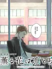 蜜臀影视音乐综艺乐队请回答